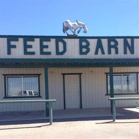Feed barn - Muleshoe Feed Barn is located at 311 W American Blvd in Muleshoe, Texas 79347. Muleshoe Feed Barn can be contacted via phone at (806) 272-5626 for pricing, hours and directions. 